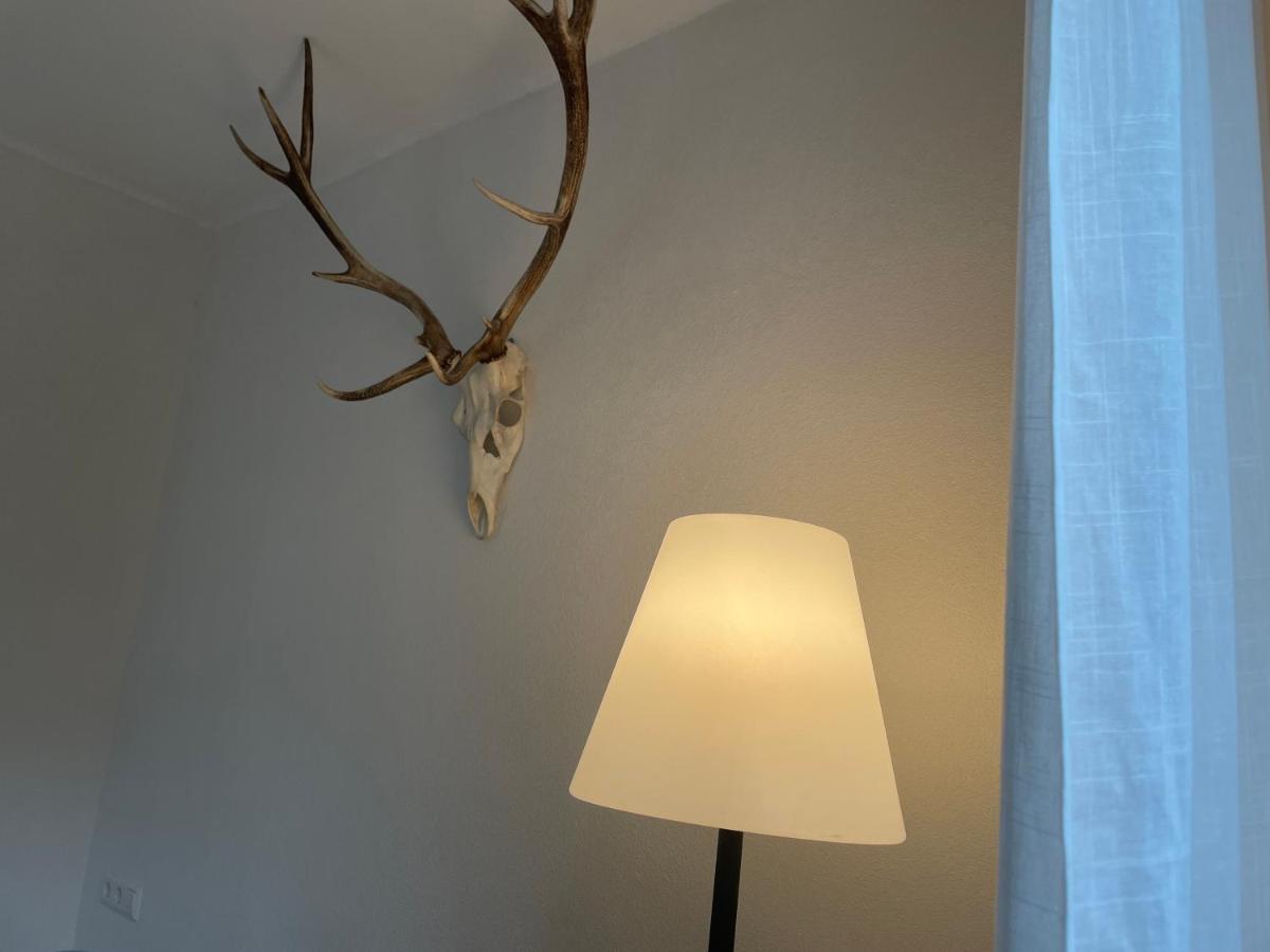 Appartement Zwergdackeladlerhirsch à Beuron Extérieur photo